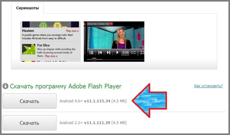 Программа Adobe Flash Player